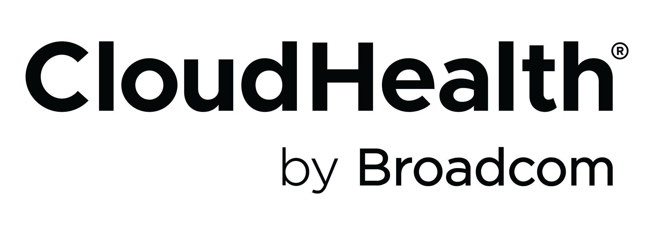 CloudHealth API Guide logo