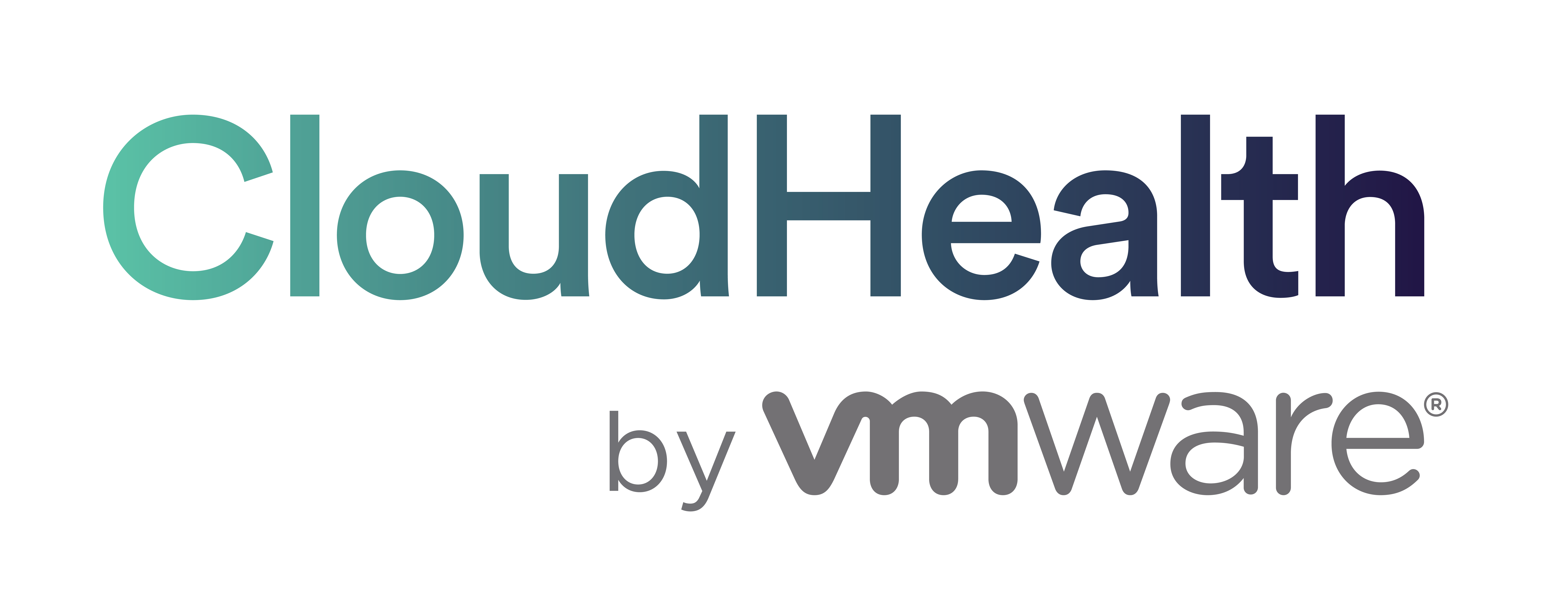 CloudHealth API Guide logo